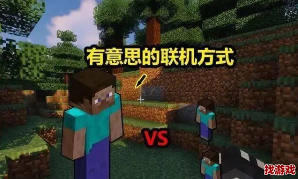 《我的世界》双人联机畅玩指南：从零到一，轻松实现共筑梦想世界！